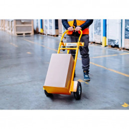 Transportavimo vežimėlis 2in1, 250kg - Geltonas