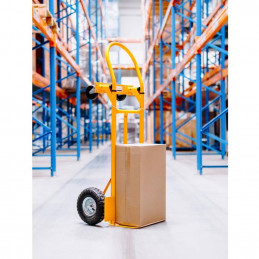 Transportavimo vežimėlis 2in1, 250kg - Geltonas