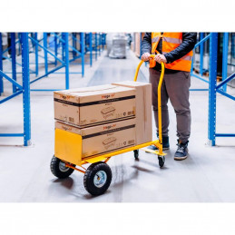 Transportavimo vežimėlis 2in1, 250kg - Geltonas