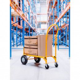 Transportavimo vežimėlis 2in1, 250kg - Geltonas