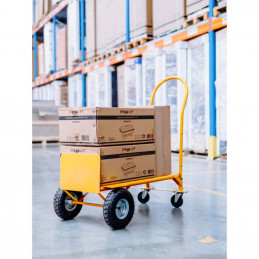 Transportavimo vežimėlis 2in1, 250kg - Geltonas